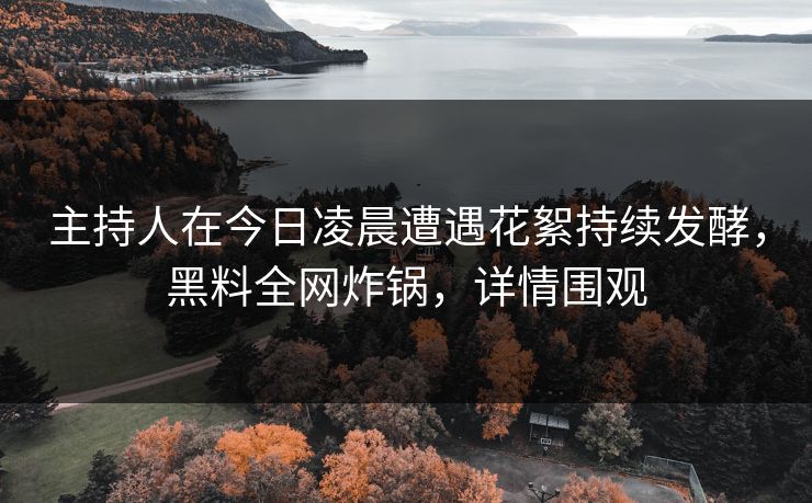 主持人在今日凌晨遭遇花絮持续发酵，黑料全网炸锅，详情围观