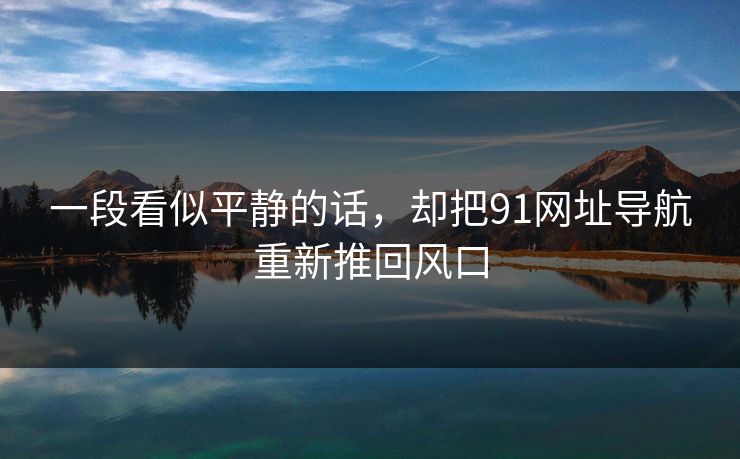 一段看似平静的话，却把91网址导航重新推回风口